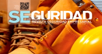 Seguridad - Seguridad Empresarial